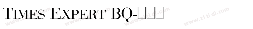 Times Expert BQ字体转换